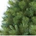 Χριστουγεννιάτικο Δέντρο Mixed Carolina (1,20m)