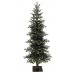 Χριστουγεννιάτικο Δέντρο Black Hills Slim (2,30m)