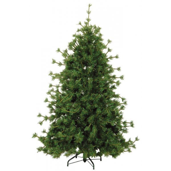Χριστουγεννιάτικο Δέντρο Αίνος (2,40m)