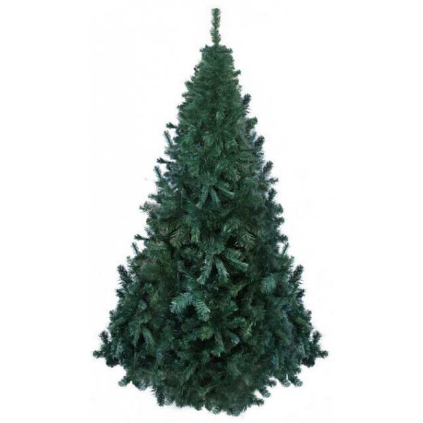 Χριστουγεννιάτικο Δέντρο Scotch Pine (1,80m)