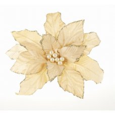 Χριστουγεννιάτικο Λουλούδι Αλεξανδρινό Κρεμ (27cm)