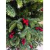 Χριστουγεννιάτικο Δέντρο Napoli (2,40m)